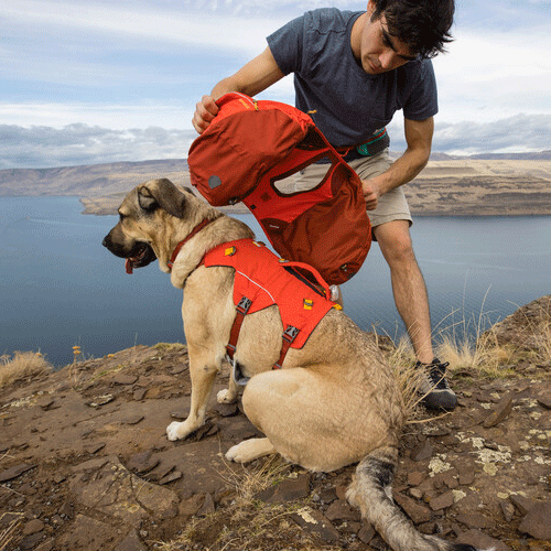 Ruffwear Palisades Pack
