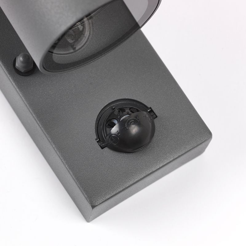 Buitenwandlamp antraciet IP44 met bewegingssensor - Solo