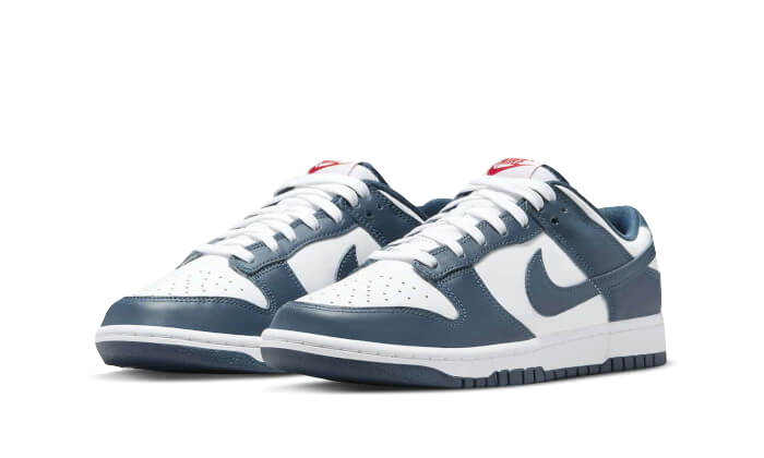 Nike Dunk Low Valerian Blue - 48h Delivery
