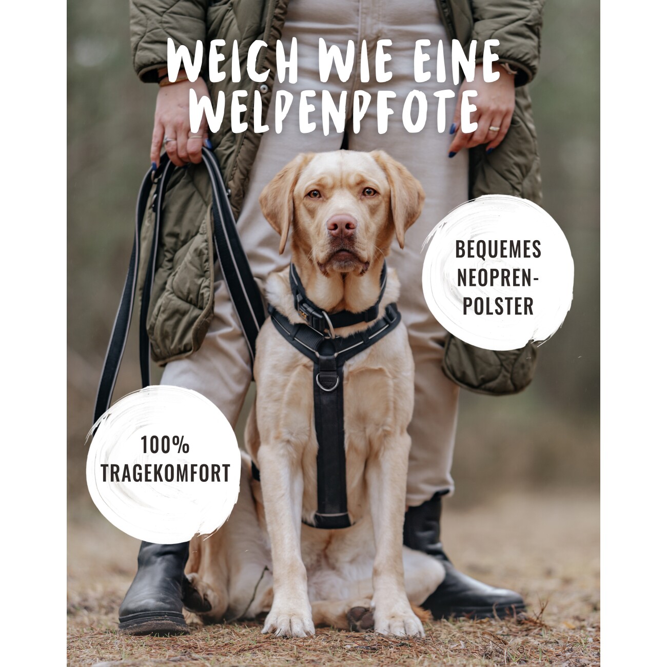 Rudelkönig Hundegeschirr - Gepolstertes Brustgeschirr schwarz S