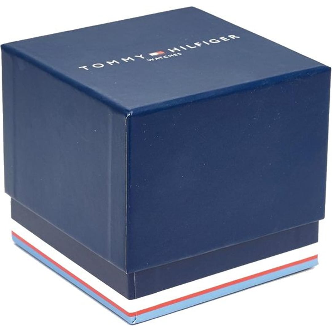 Tommy Hilfiger Clark Day Date Silbrig / Blau