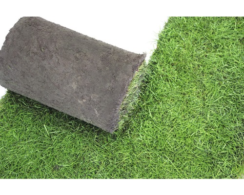 Gewalst kunstgras voor sport en spel, bestelhoeveelheid 50 - 99 m², dagelijks vers gesneden