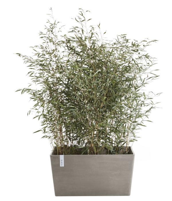 Ecopots Kunststoff-Kasten Paris, rechteckig