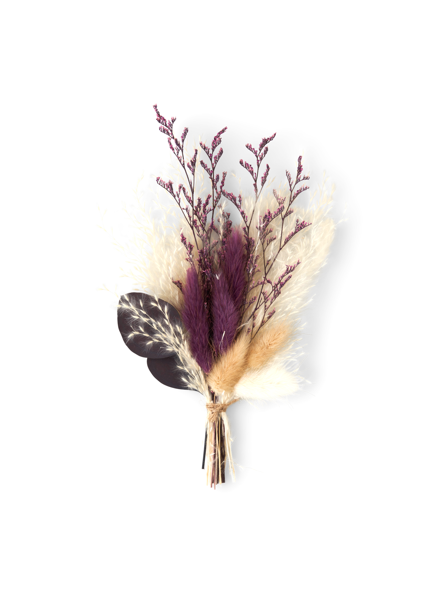 Tørrede blomster til DIY | Tørrede blomster. | Off White