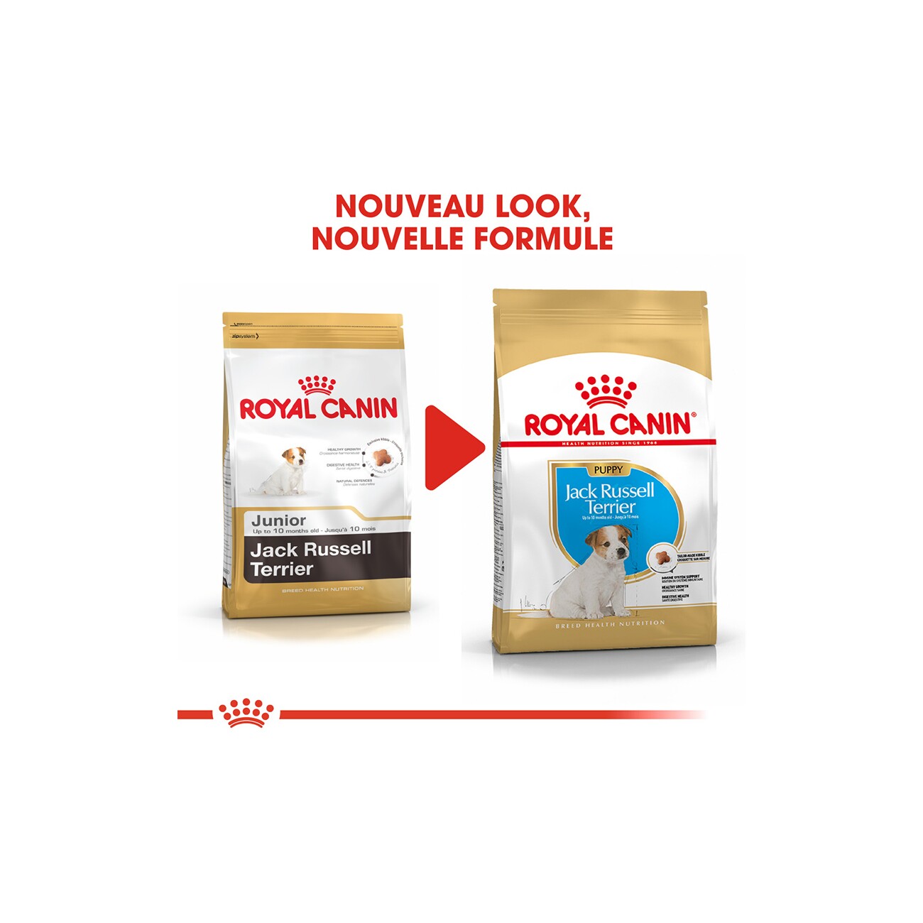 ROYAL CANIN Jack Russel Terrier Puppy 1,5 kg