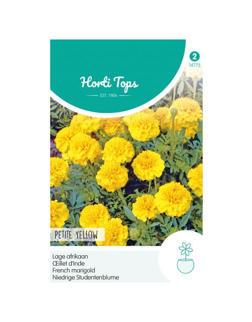 Hortitops Tagetes - Lage Afrikaan Petite Yellow - Bloemenzaden - 1 g