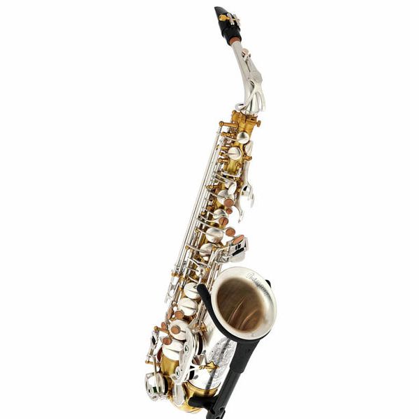 Rampone & Cazzani Two Voices Alto Sax OTS