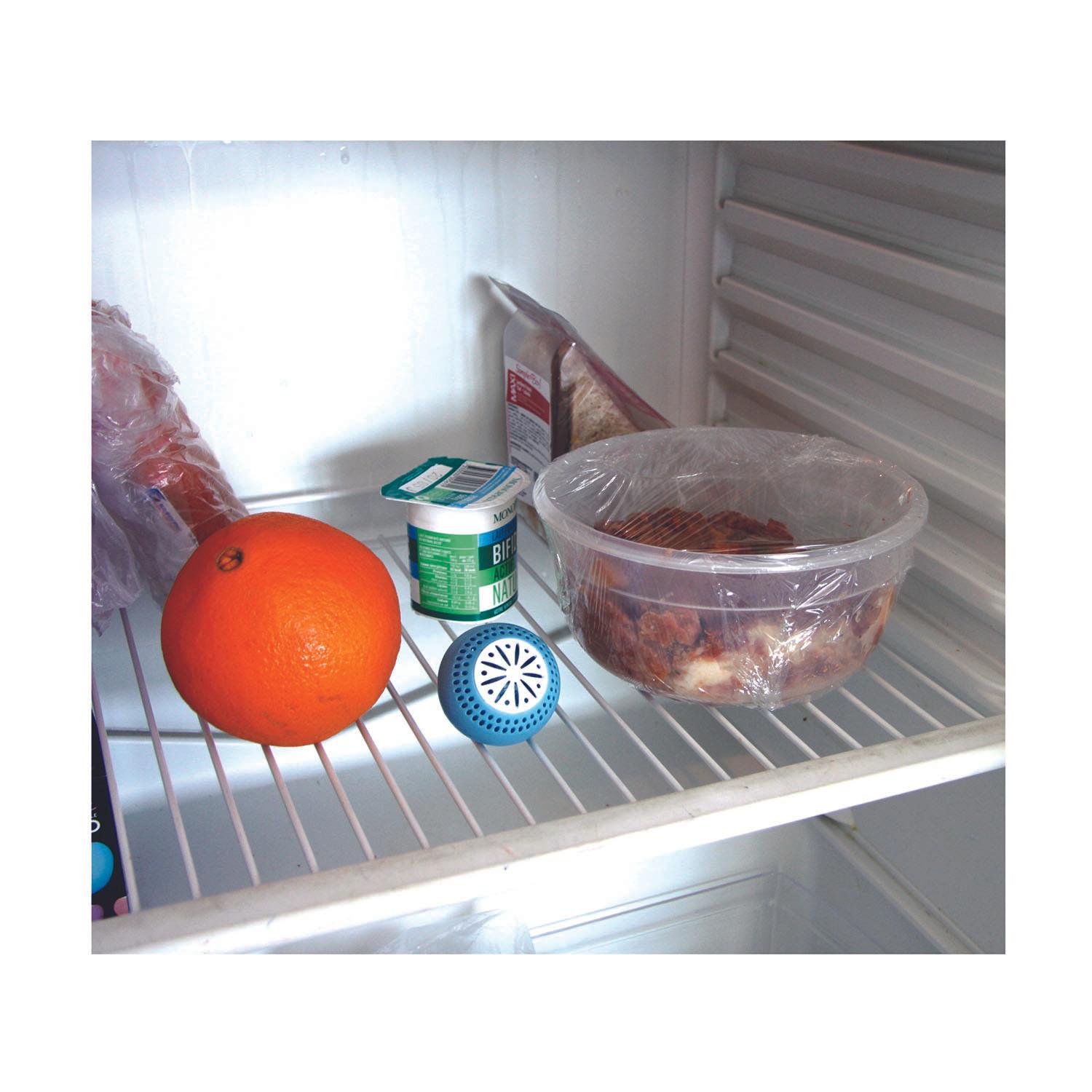 BOULES FRIGO ANTI ODEURS X2