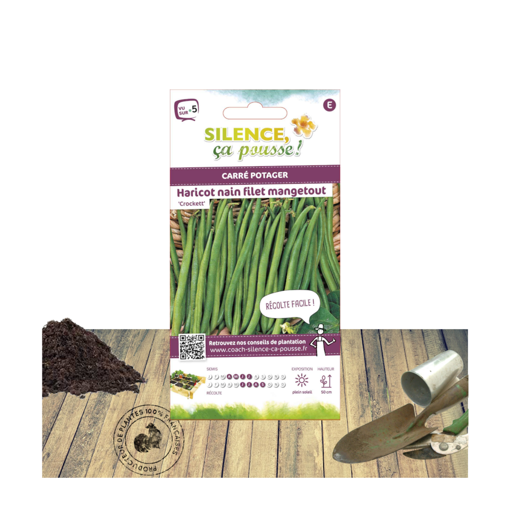 Graines de haricot nain filet mangetout crockett/phaseolus vulgaris nain filet mangetout crockett[-]sachet de 8 gr.