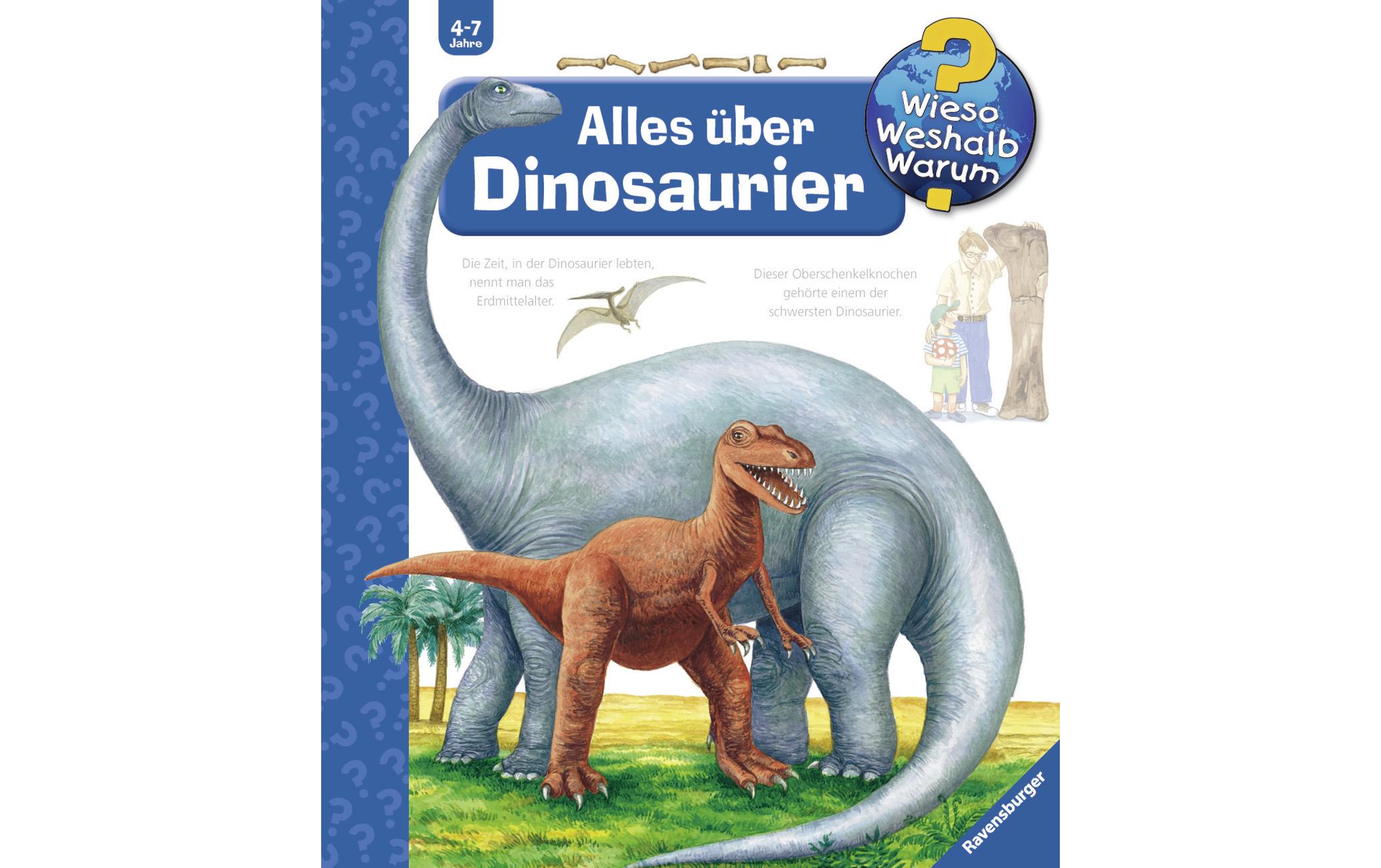 Kinder-Sachbuch WWW Alles über DinosaurierKlappbuch