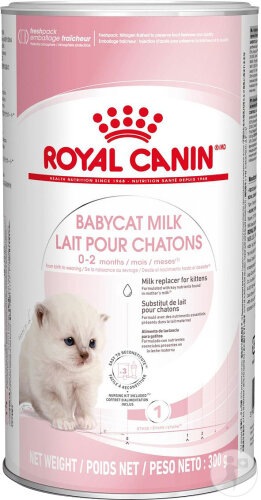 Royal Canin Feline Breed Nutrition Babycat Milk 300g