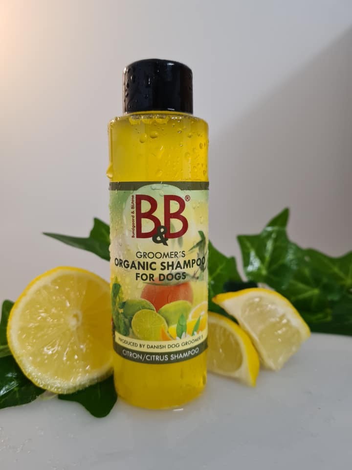 B&B - Økologisk Citrus Hundeshampoo 250 ml