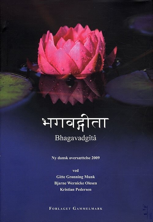 Bhagavadgita - Ny Dansk Oversættelse 2009 - Bog