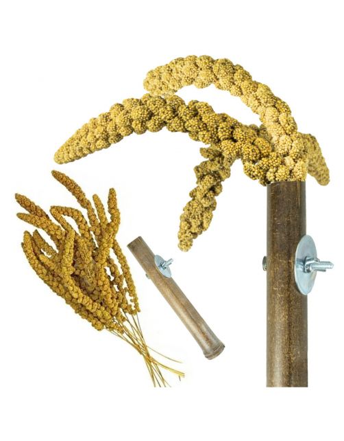 Back Zoo Nature Bamboo Grass Keeper - Vogelspeelgoed - 3x3x20 cm