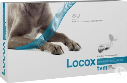 Tvm Locox Soutien Des Articulations 30 Comprimés