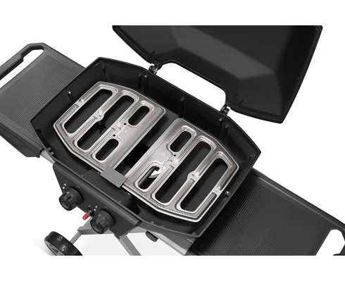 Austin and Barbeque AABQ - Superior Portable 2 Burner Gas Grill