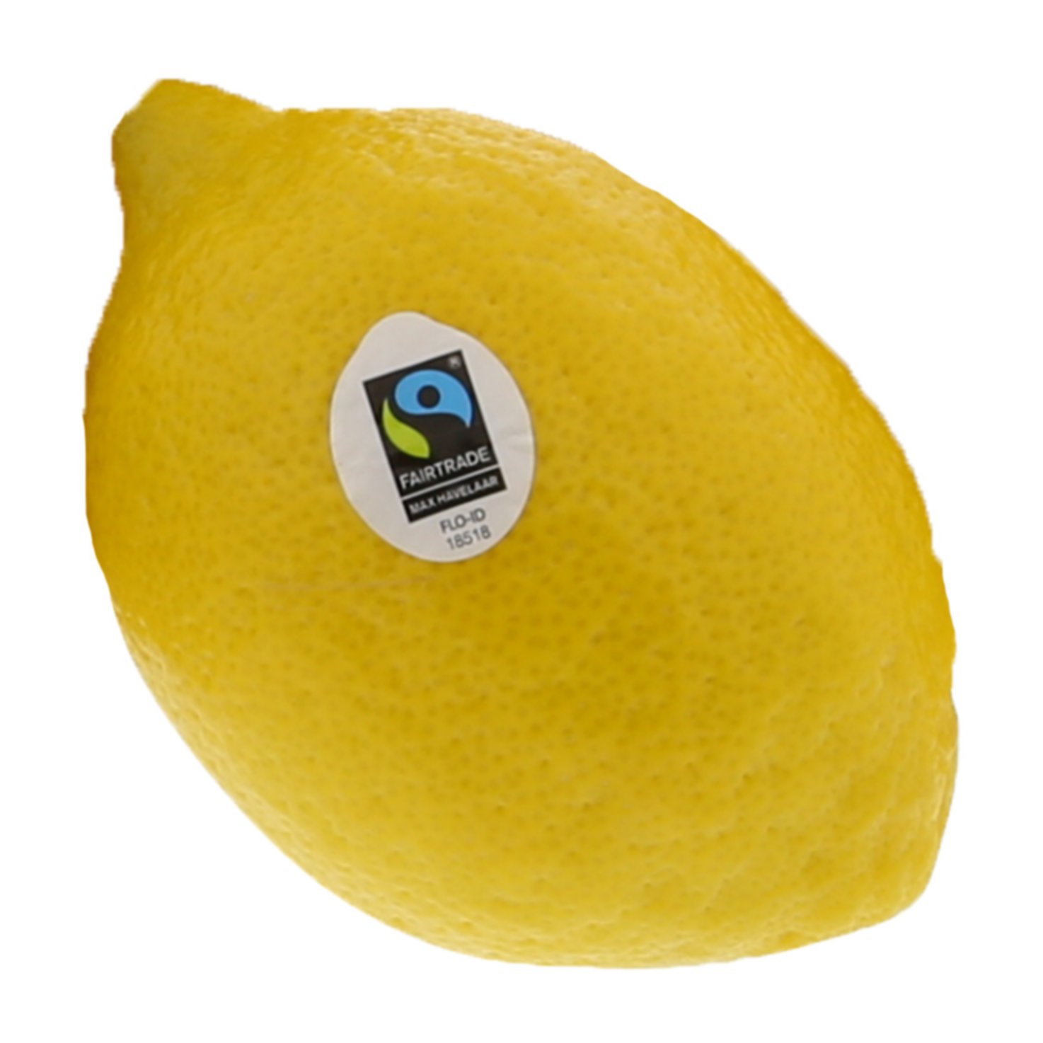 Fairtrade Zitrone 1 Stück -