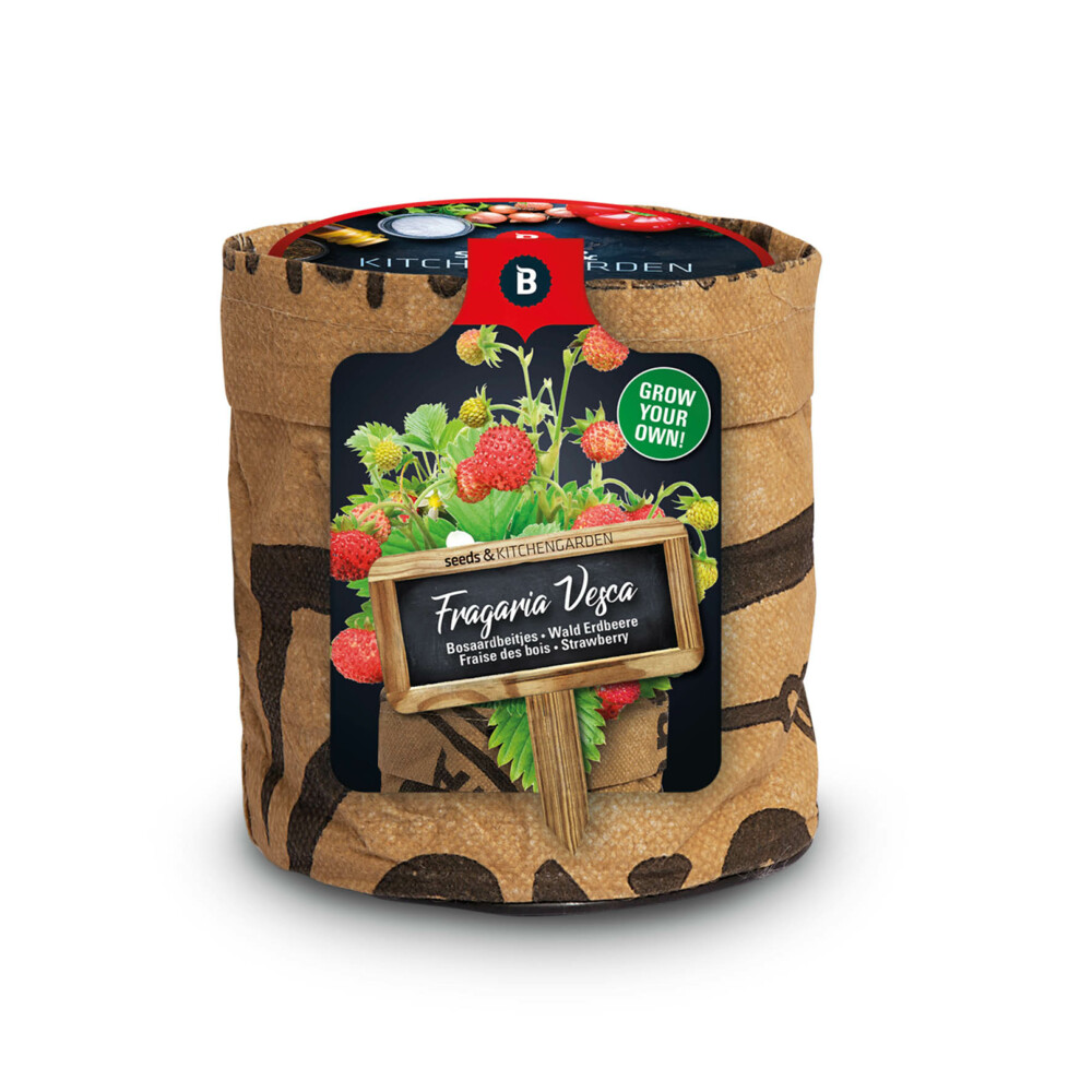 Baza Keukentuintjes Set Kruiden Groot1 set