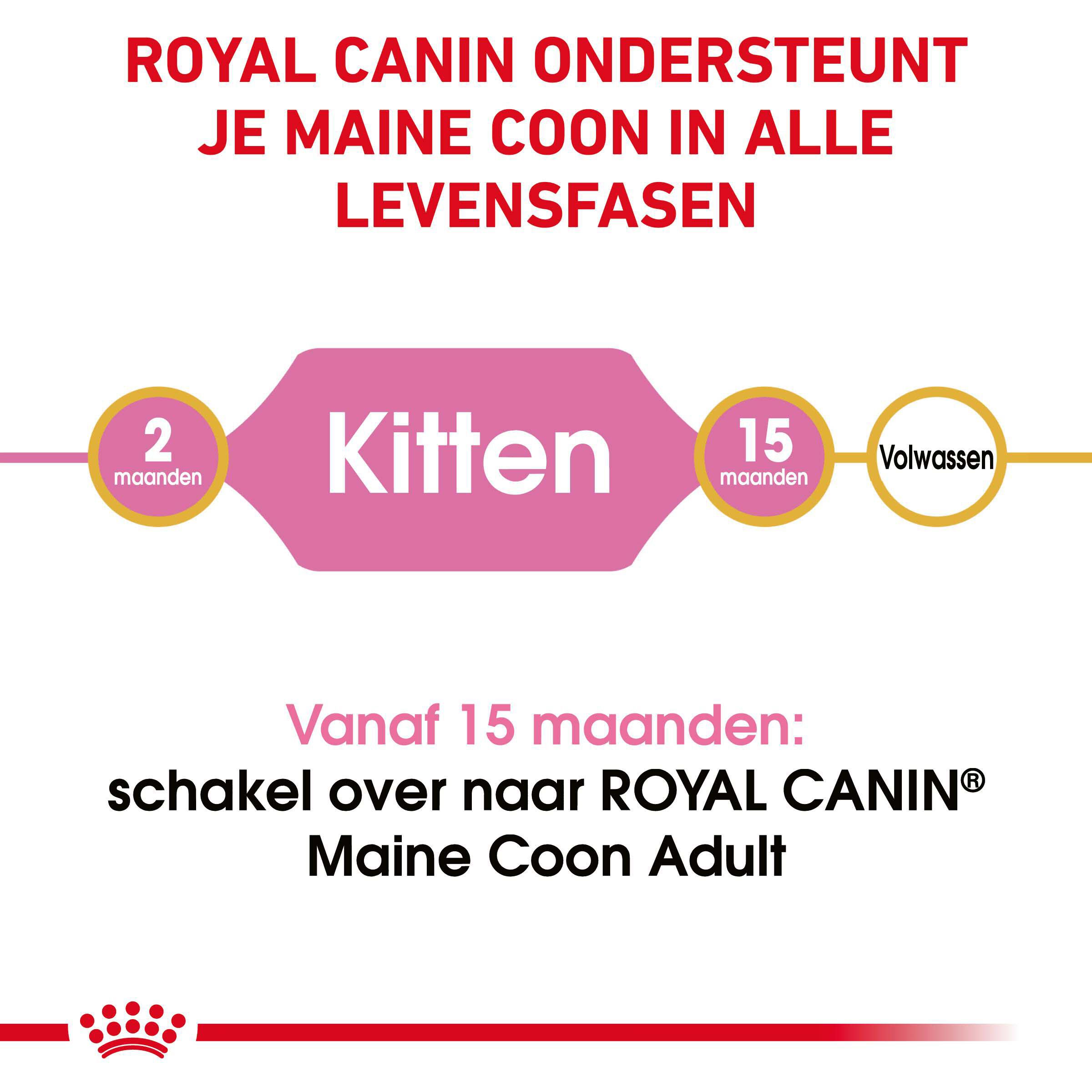 Royal Canin Maine Coon Kitten - Kattenvoer - 2 Kilogram - Gevogelte
