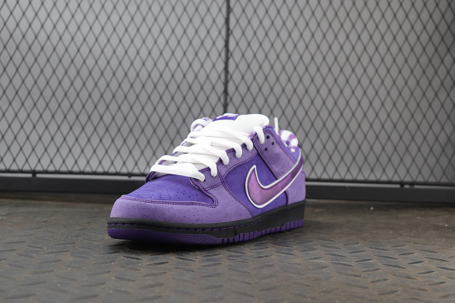 Nike SB Dunk Low Concepts Purple Lobster Regular Box