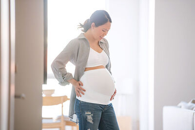 Medela M Gravidbelte, Hvit