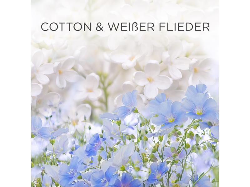 Air Wick Cotton und Weisser Flieder 3 Nachfüller à 19 ml Belebender Aroma-Öl Nachfüllflakon mit einem frischen Duft nach im Wind getrockneter Wäsche