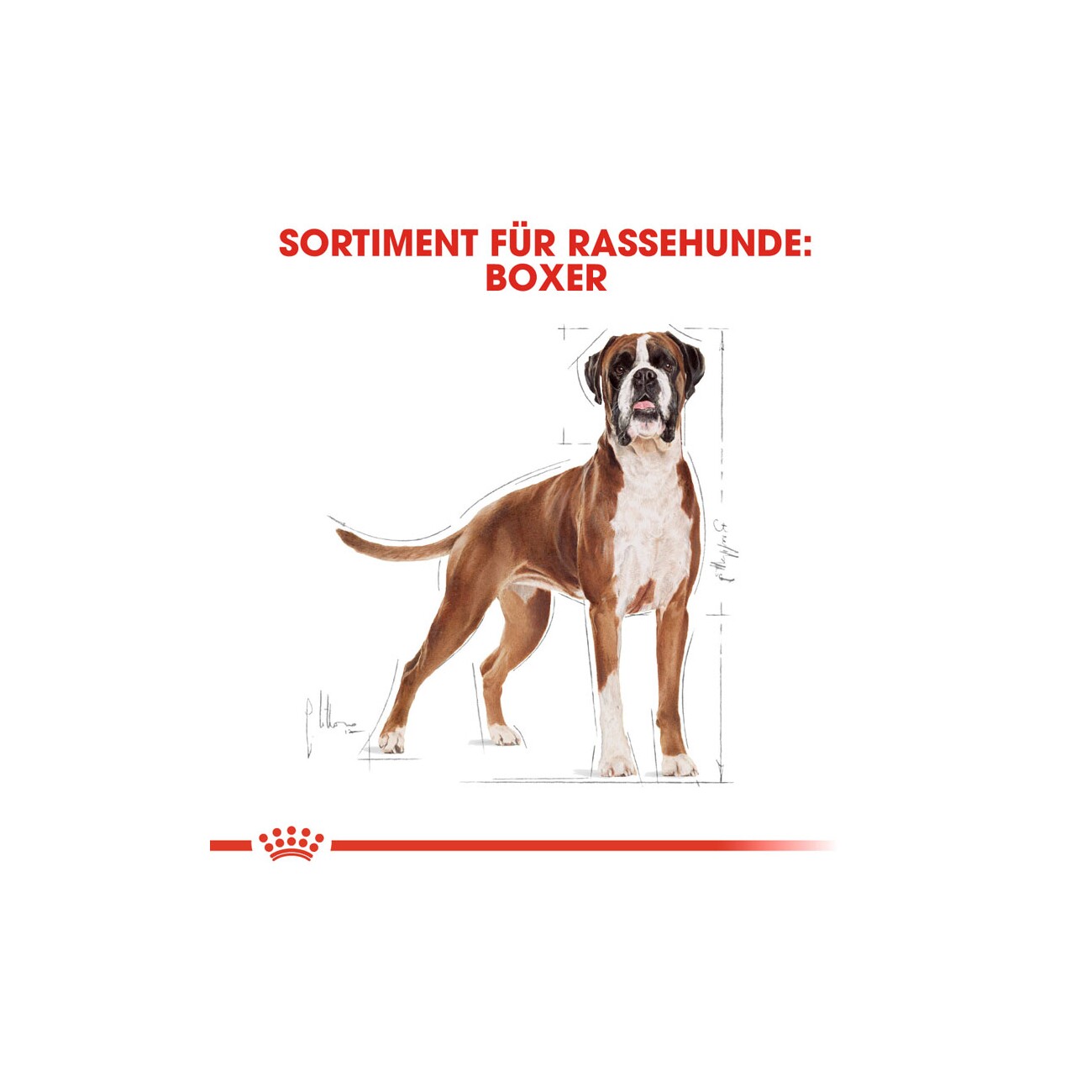 ROYAL CANIN Boxer Adult 12 kg