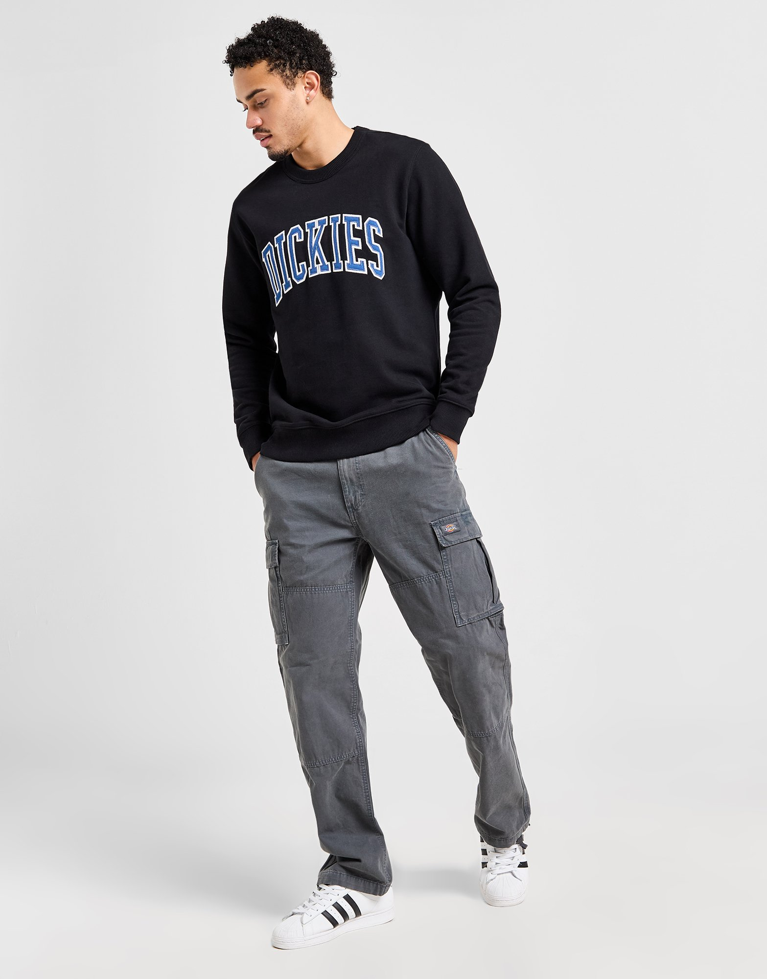 Dickies Sweat Aitkin Homme
