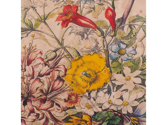 Toile de lin parcheminée imprimée 64x83x1,7