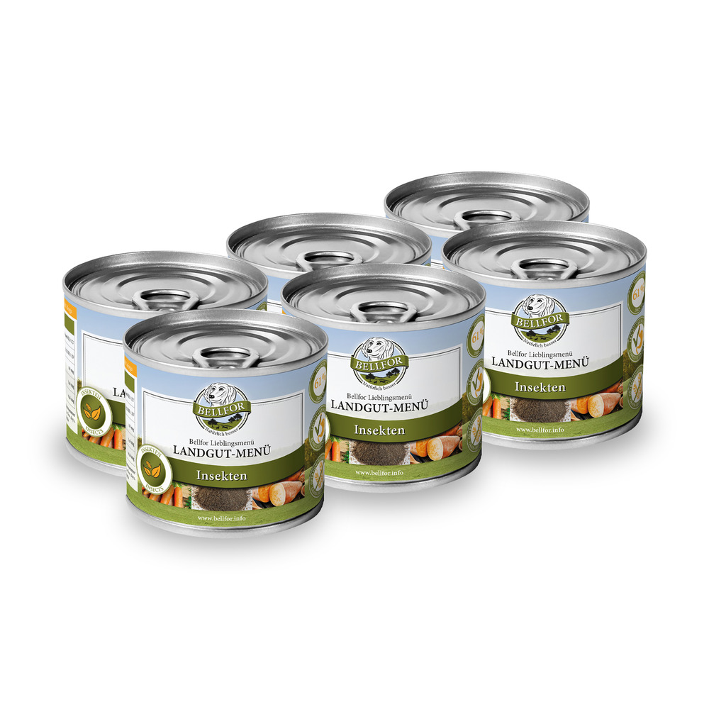 Kit d'alimentation pour petits chiens pour renforcer leurs défenses immunitaires