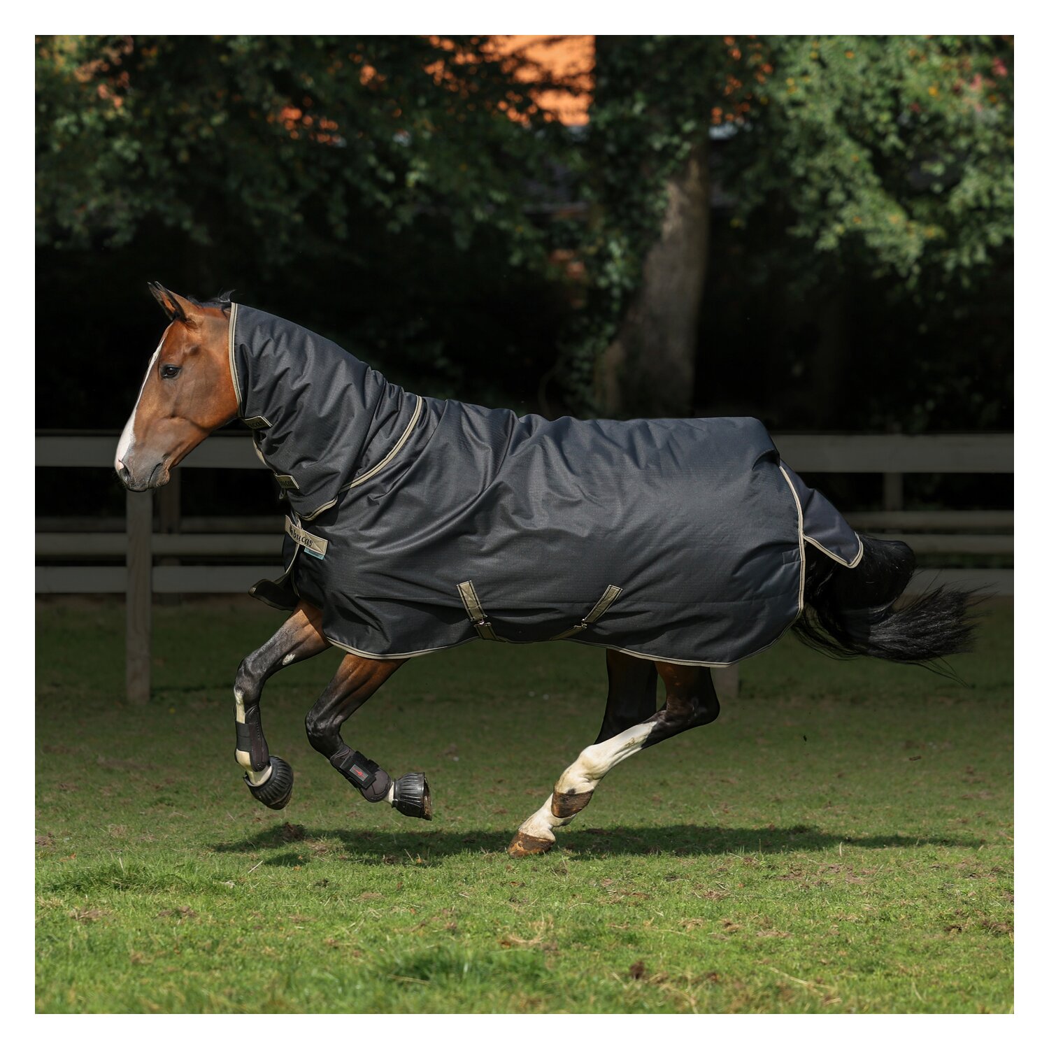bucas Outdoordecke Freedom Turnout Full Neck Light - schwarz/taupe