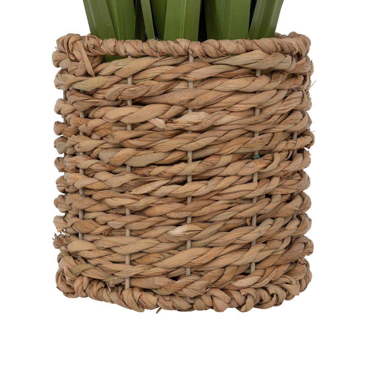 BUNCH LIN POT NATUREL ZYA H.91CM