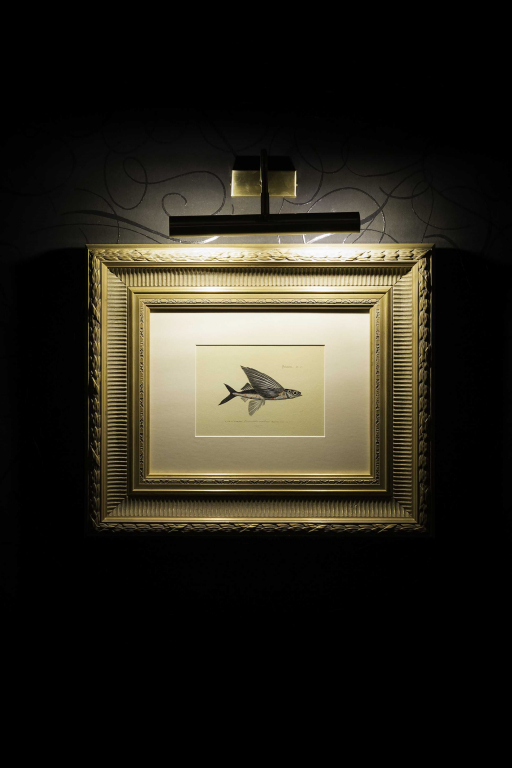 Moooi Carpets Flying Coral Fish vloerkleed 200x300
