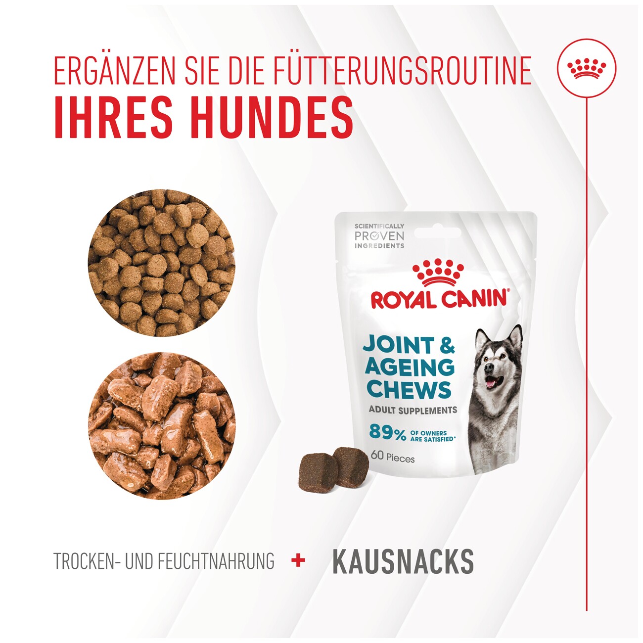ROYAL CANIN Joint & Ageing Supplements Kausnacks 240 g