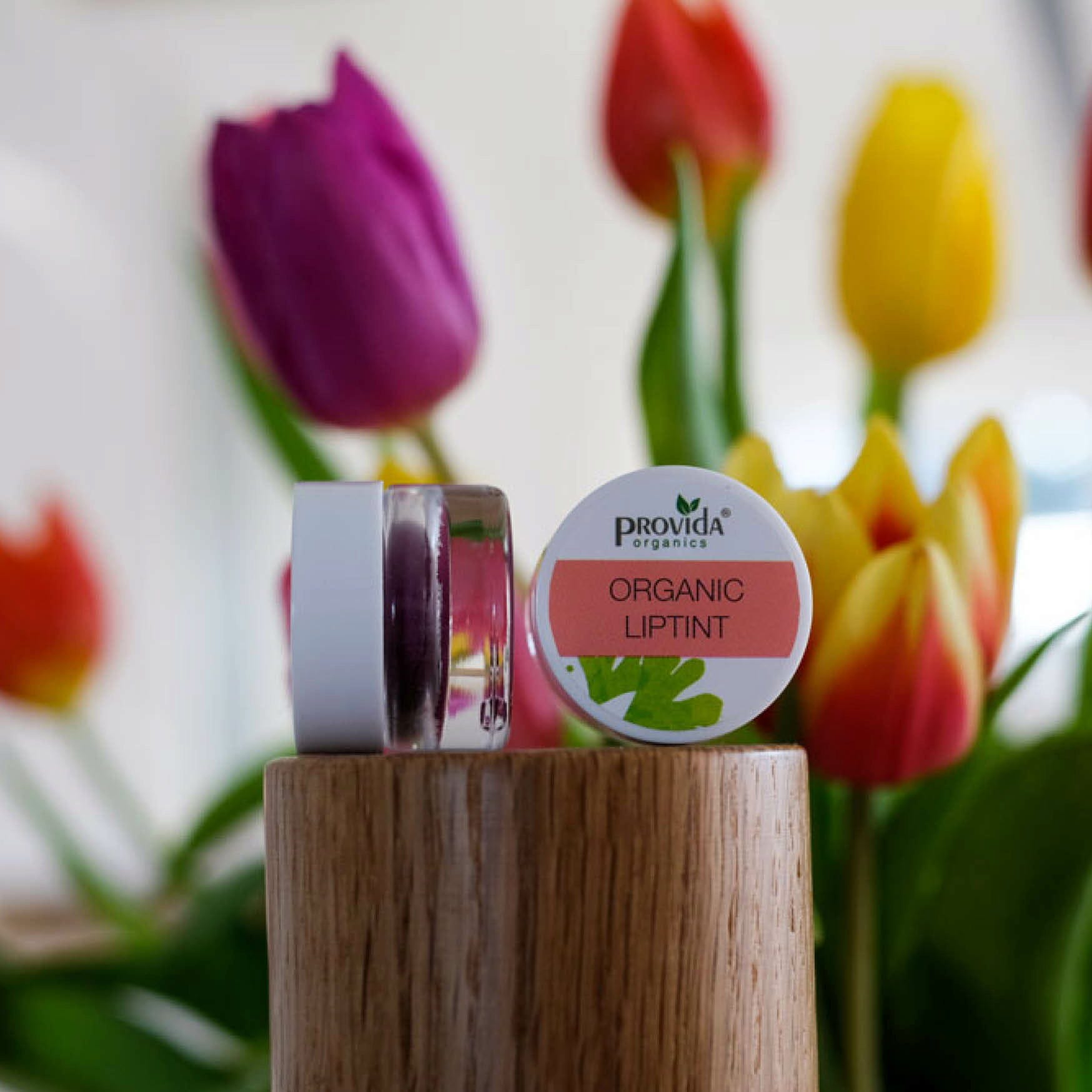 provida organics  Bio-Lippenstift im Tiegel, 02 Soft Pink (3 ml)
