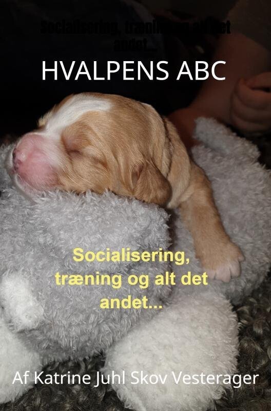 Hvalpens Abc - Katrine Juhl Skov Vesterager - Bog