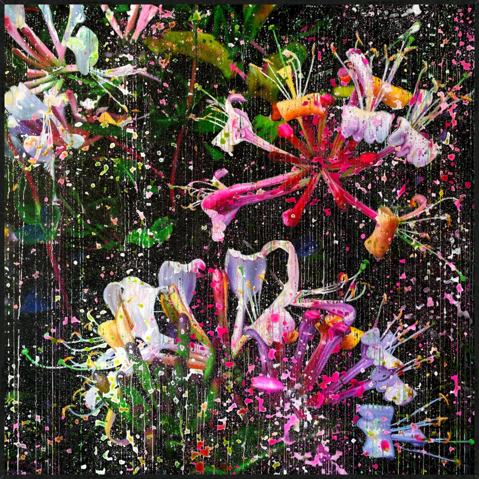 Lonicera Caprifolium Magenta 01 by An Doan Nguyen - Limited Edition. Edition of: 150. Signed.