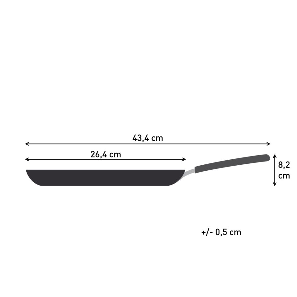 Expertise+ pannenkoekpan 25 cm