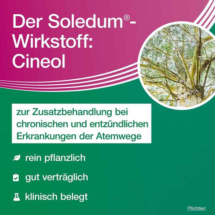 Soledum addicur 200 mg magensaftresistent Weichkapseln, 100 St