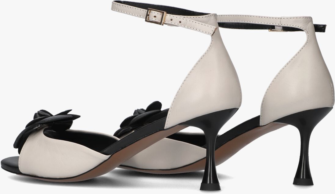 witte toral pumps rita