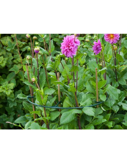 Nature Vario Plantensteunen - Klim-En Geleide Artikel - 0.5x40x40 cm Groen 3 stuks