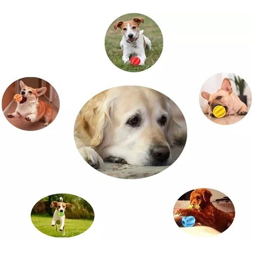 Bola MyPetCare para Cães, Verde