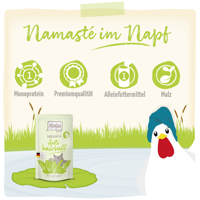 Wellness - Anti Hairball - Huhn