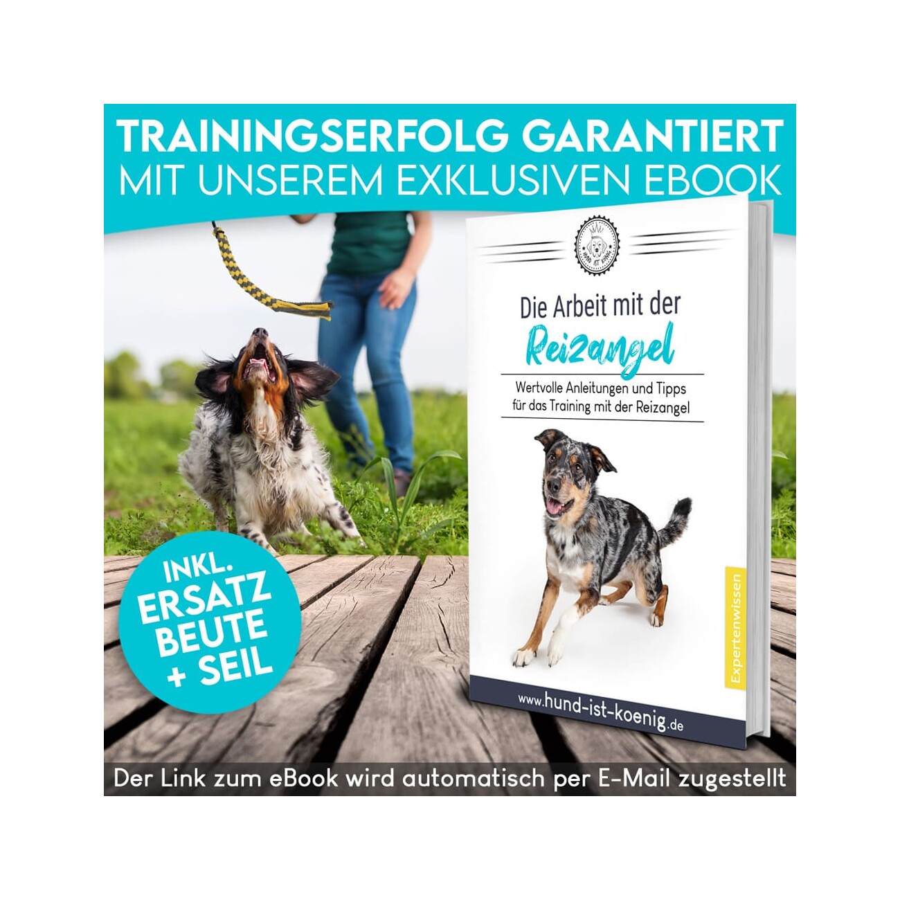 HUND IST KÖNIG ® Reizangel Hunde | Reizangel für Hunde für Spielspaß & körperliche Auslastung 1,02 m