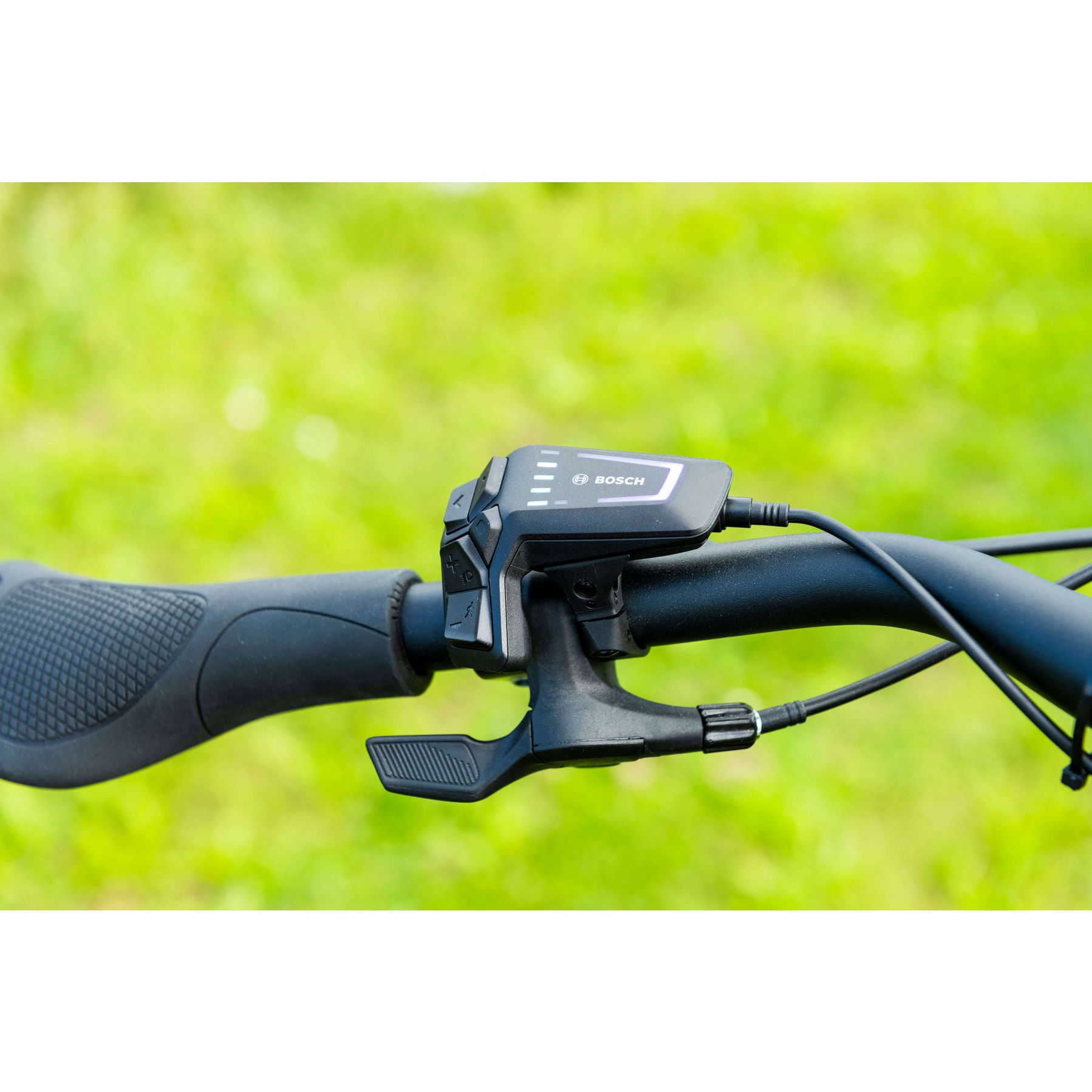 Pegasus Savino EVO 5F Lite Belt