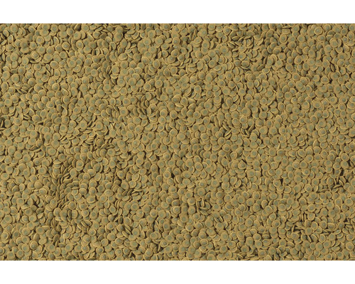 Tetra Pleco Wafer 100 ml