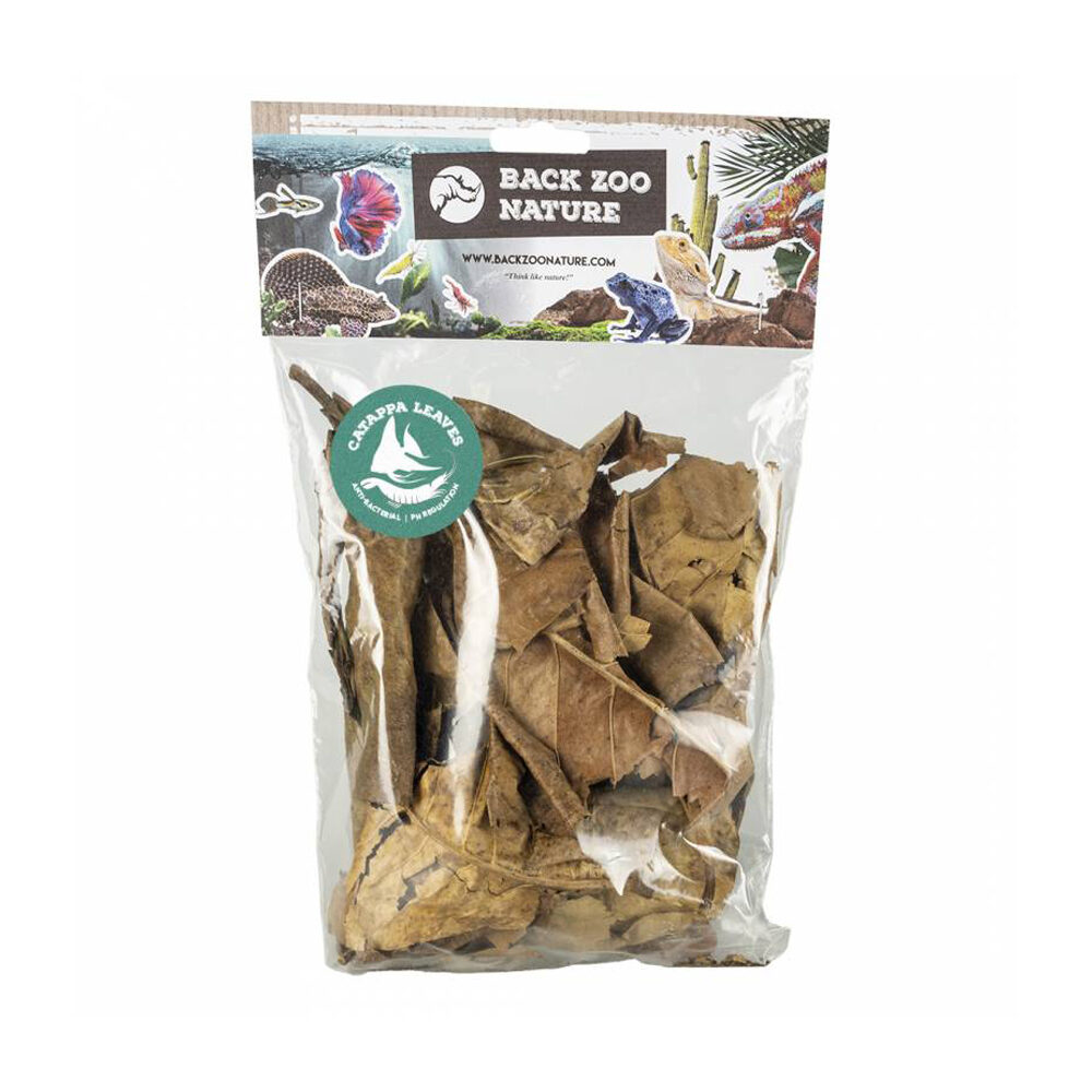 Back Zoo Nature Catappa Leaves