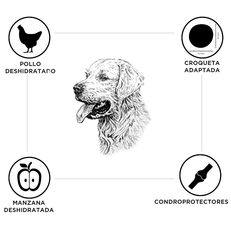 Ração Breeders Senior com Frango e Arroz para cães de porte médio e grande.