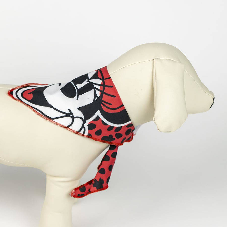 Kit de boas-vindas da Minnie Mouse da Disney para cães