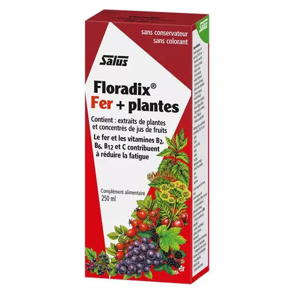 Salus Floradix Tônico Ferro + Ervas 250ml